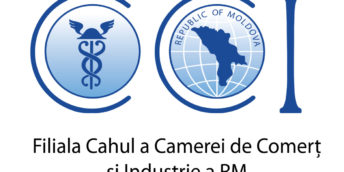 Simplificarea accesului la serviciile CCI RM prin intermediul platformei client.chamber.md