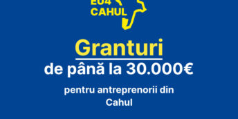COMUNICAT DE PRESĂ