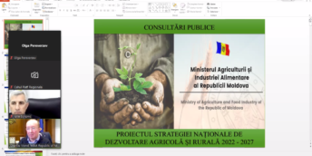 Strategia Națională de Dezvoltare Agricolă și Rurală 2022-2027 a fost consultată public cu regiunea Sud