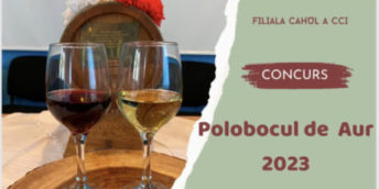 Concursul Polobocul de Aur, Cahul 2023