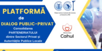 Platforma Dialog Public-Privat : Apel de Proiect