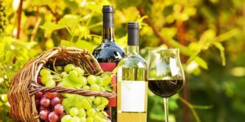 Concursul pentru cel mai bun vin de casă „Polobocul de Aur” 2024