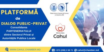 Platforma de dialog public-privat Cahul în ședință de lucru